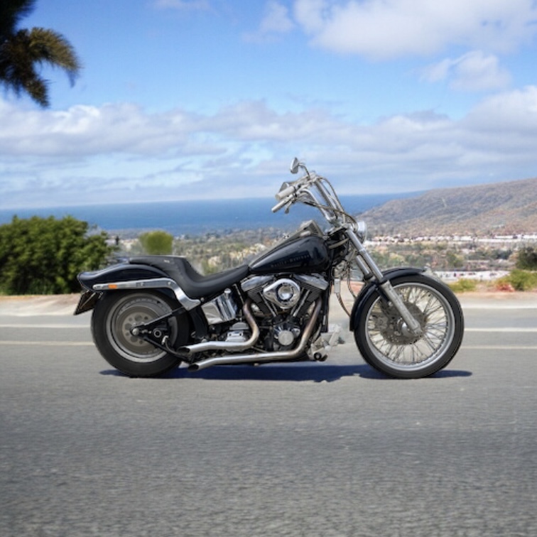 【全国陸送可】始動性良好 下取り可能 Harley Davidson FXSTC EVO Softail エボ ソフテイル カスタム チョッパー Vintage PM_画像1