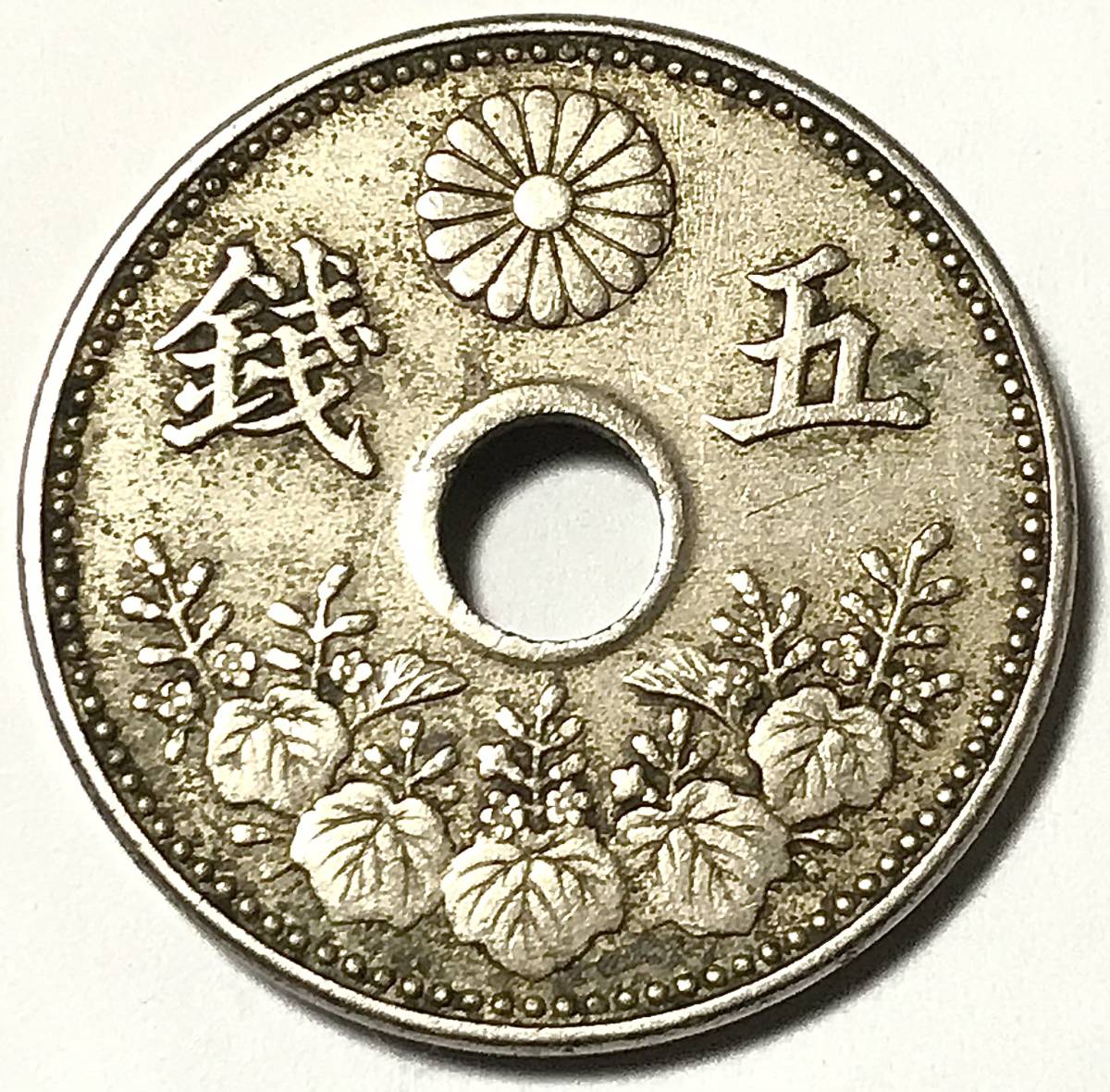 近代貨幣 大型5銭白銅貨 大正6年 特年 並品 五銭 大正六年 1917年 大日本帝国 菊花紋章 硬貨 コイン 古銭 古錢の画像1