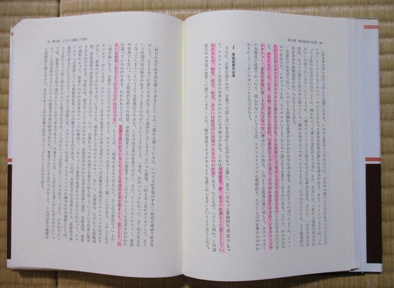鑪幹八郎(たたらみきはちろう・)著 『試行カウンセリング』 2005年1月発行 誠信書房 表紙カバーの画像6
