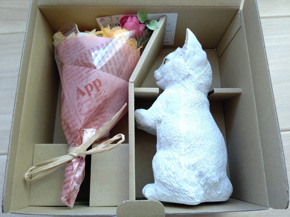 MIGNON BOUQUET ミニョン ブーケ ねこ オッドアイ CT触媒加工 (未使用/新品) _画像2