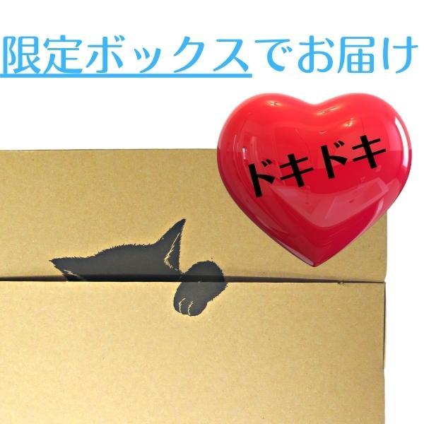 完熟紀州南高梅　訳あり　送料無料　はちみつ梅　500g　2袋セット　梅干し　はちみつ梅　安心安全の和歌山産　ポスト投函　は５×２　_画像9