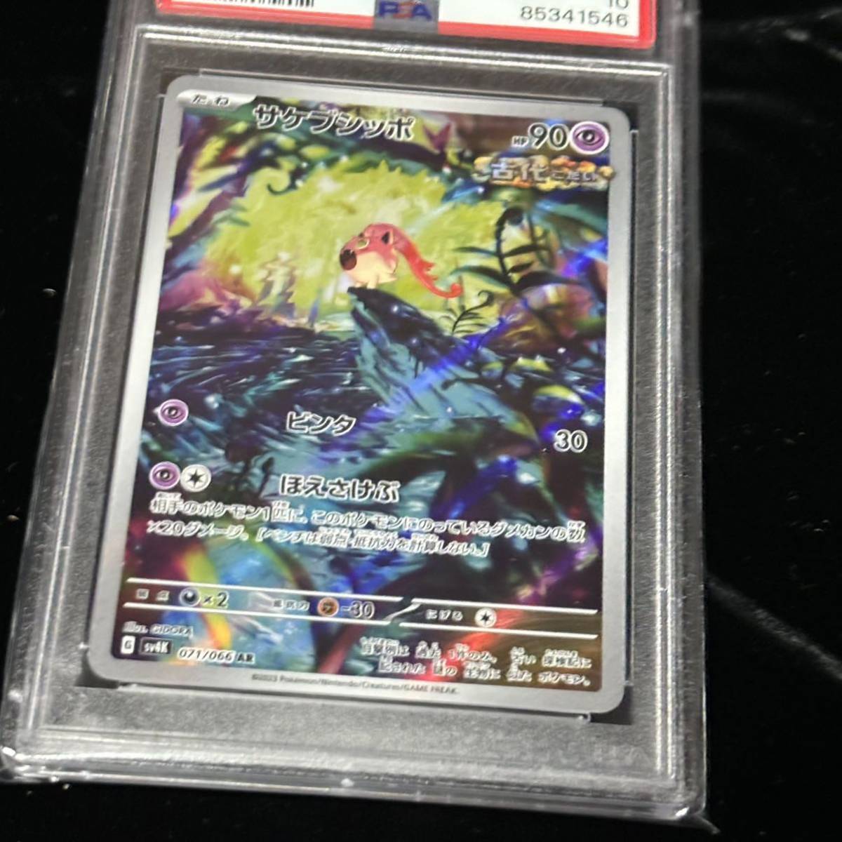 PSA 10 ポケモンカード 古代の咆哮 AR サケブシッポ 鑑定品 ANCIENT ROAR 071 SCREAM TAIL ART RARE_画像7