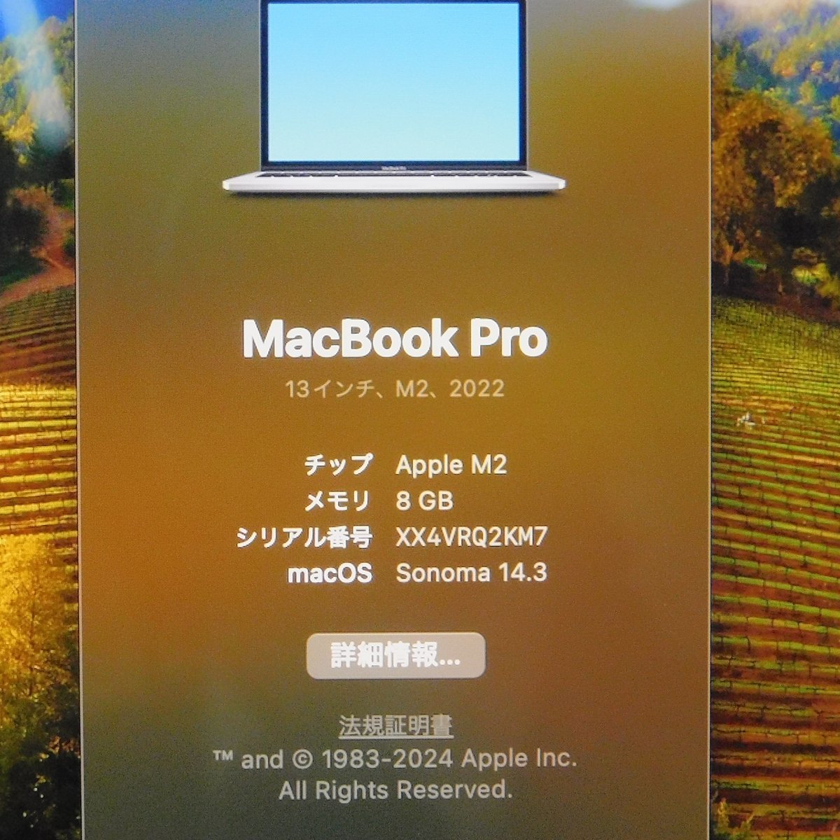 B◎美品 MacBook Pro 13.3インチ (M2/8GB/ SSD256GB) 2022年 A2338_画像3