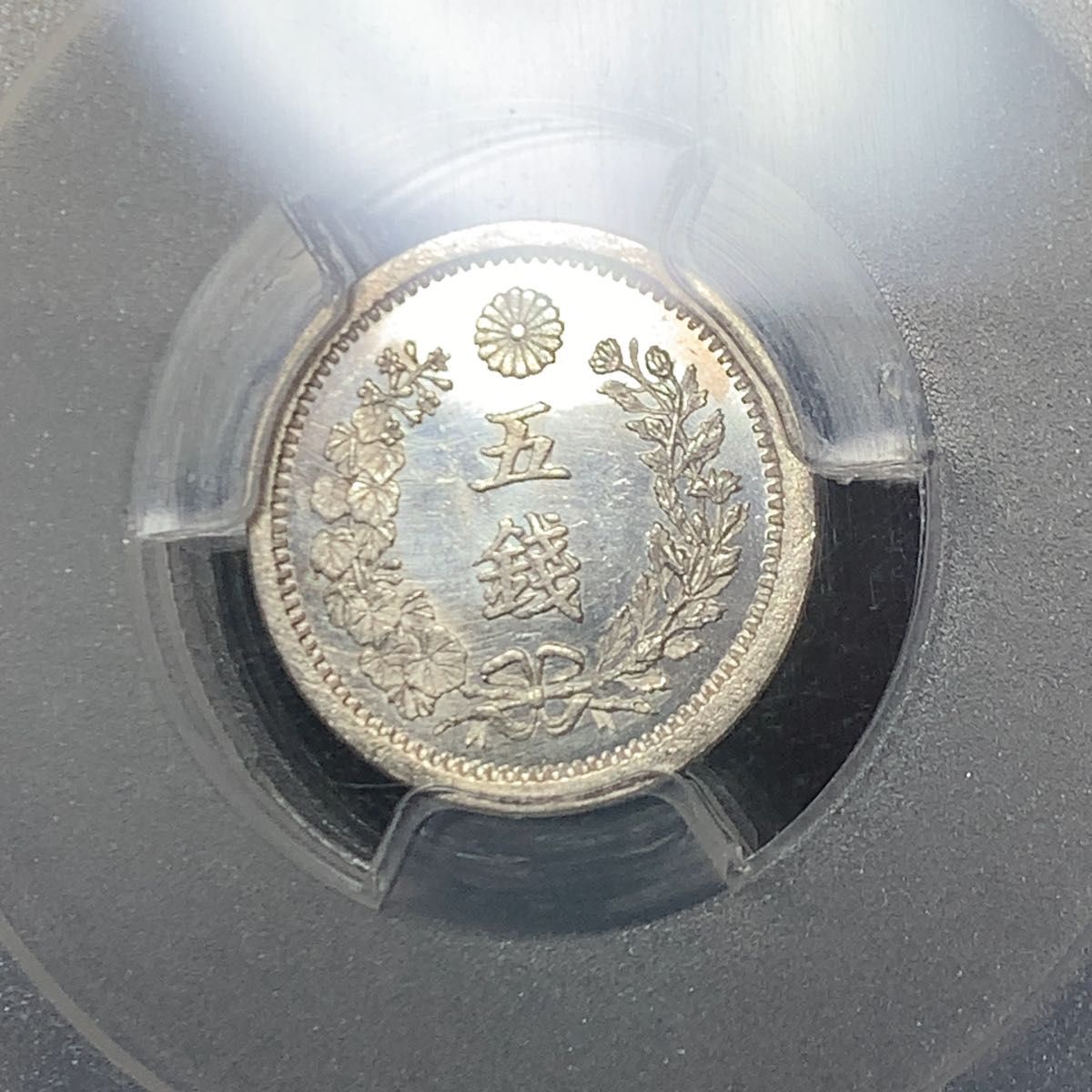 明治9年　竜5銭銀貨　PCGS MS64PL ハネ明　プルーフライク　