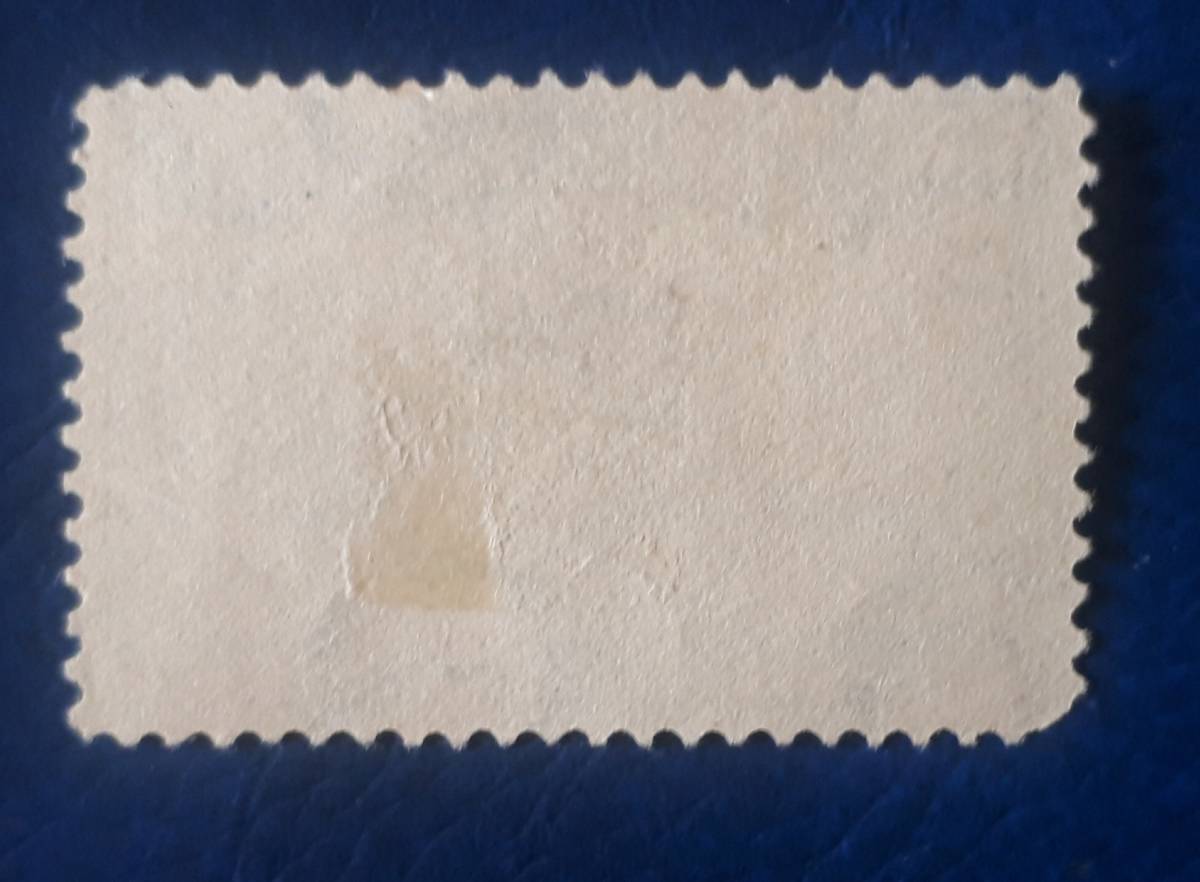  America 1898 year 10 cent unused stamp NG