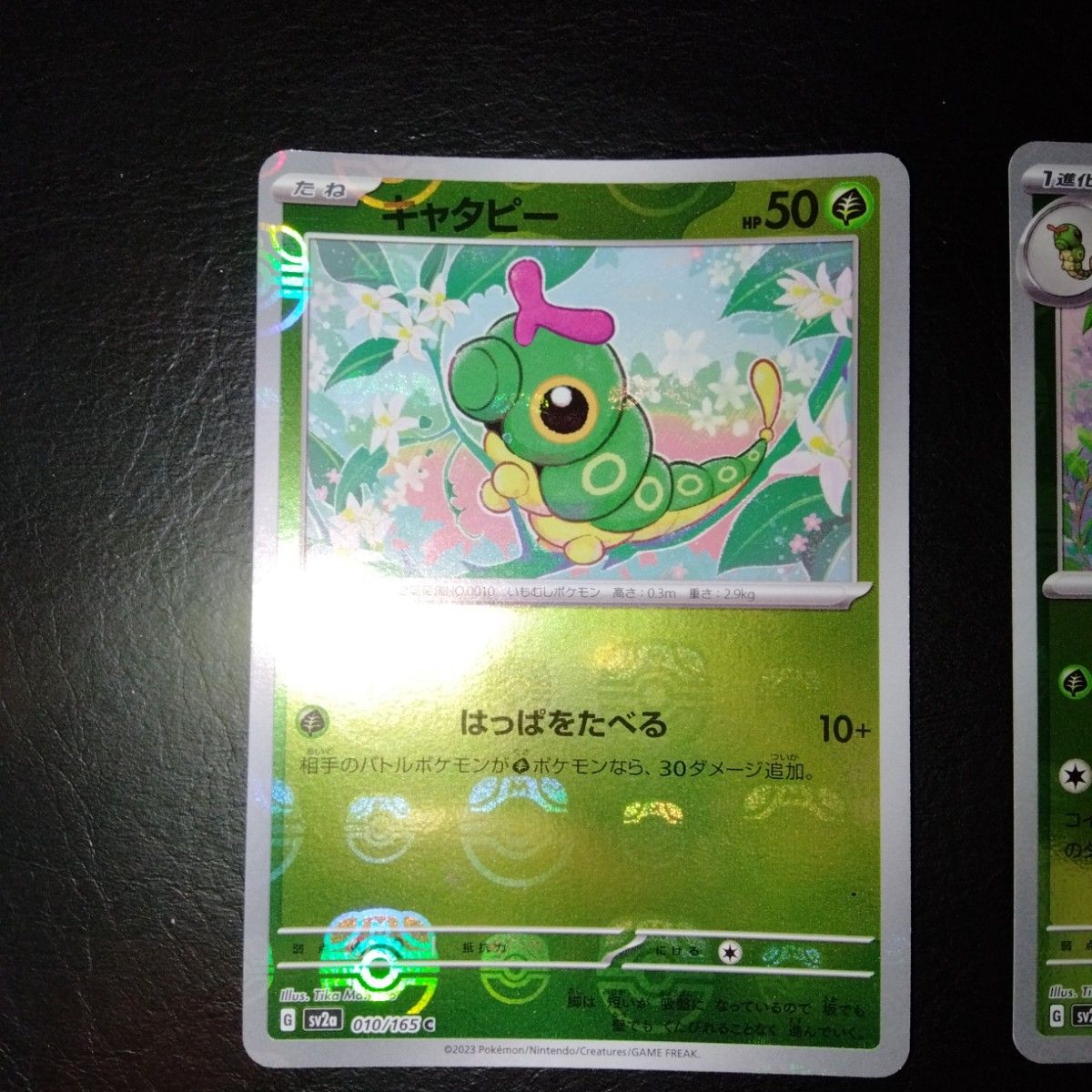 ポケモンカード 151 マスターボールミラー キャタピー ポケモンカード 151 マスターボールミラー キャタピー