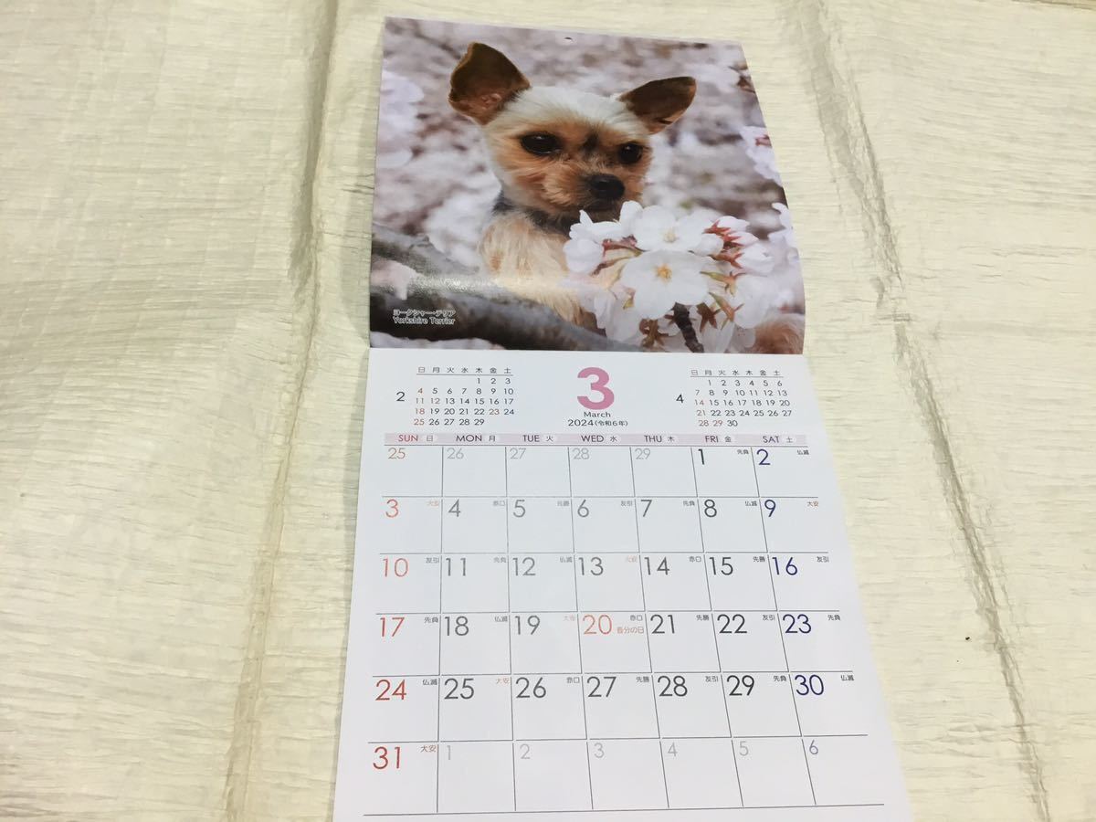 送料無料　匿名配送　2024年犬カレンダー_画像4