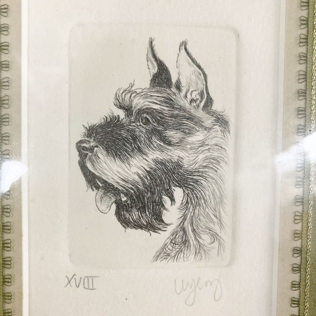  pencil sketch copy dog terrier author unknown lovely picture frame bamboo .[OTOS-125]