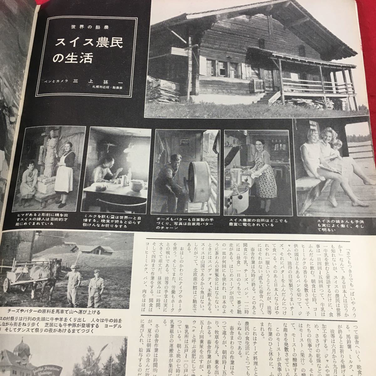 m4↑-108 デーリィマン 月刊酪農雑誌 第11巻 第1号 昭和36年1月1日 発行 デーリィマン出版協会 雑誌 古本 酪農 農業 随筆 随想 経営 生活_画像5