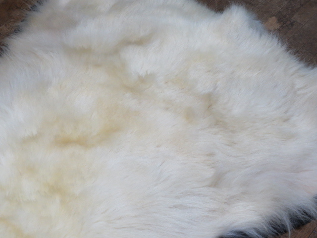 美品 希少品 白熊 北極熊 ホッキョクグマ 剥製 敷物 毛皮 カーペット センターラグ 絨毯 壁掛 全長230cm 幅190cm 美術品_画像8