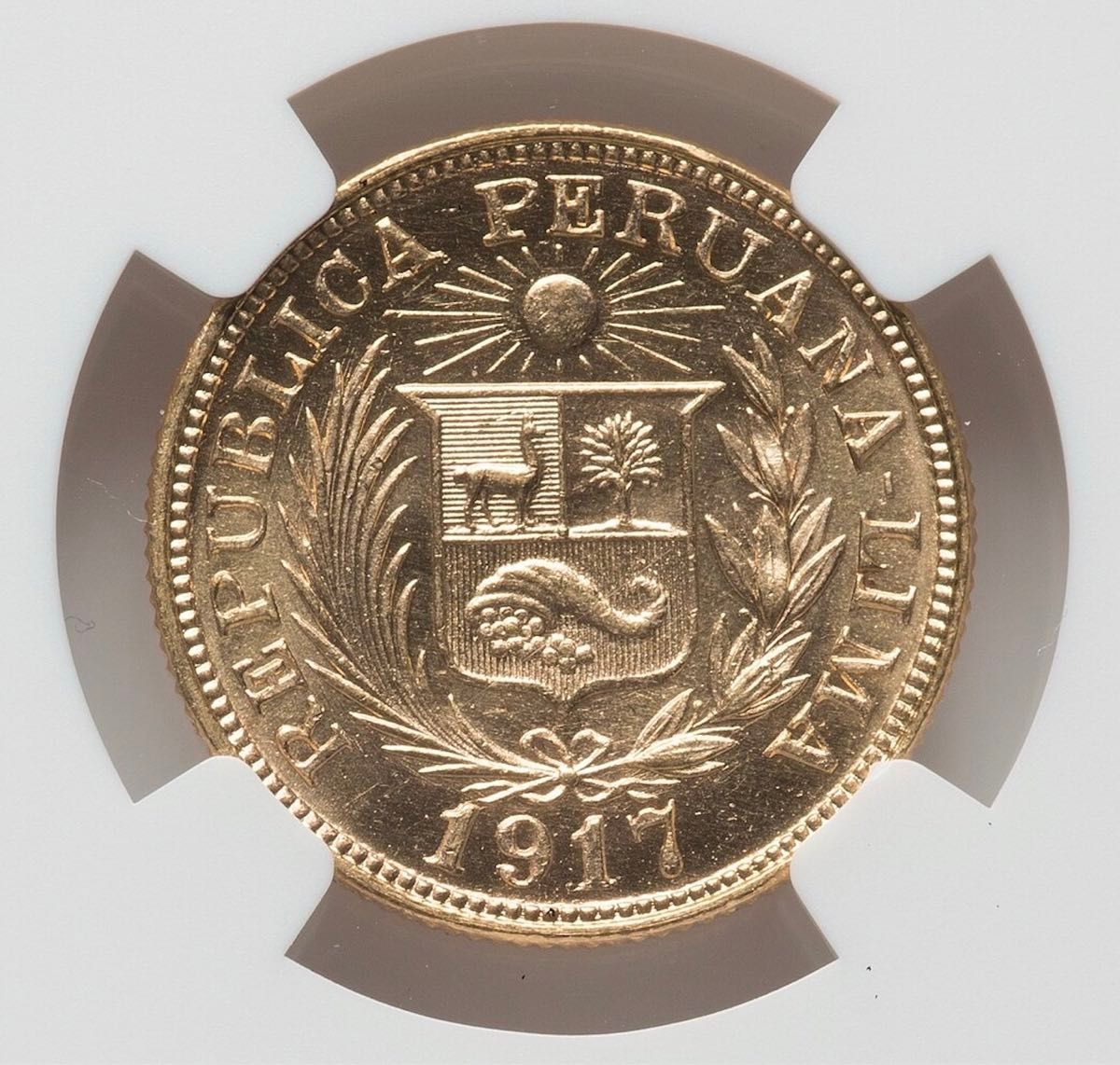 ペルー リブラ金貨 1917年 NGC MS62