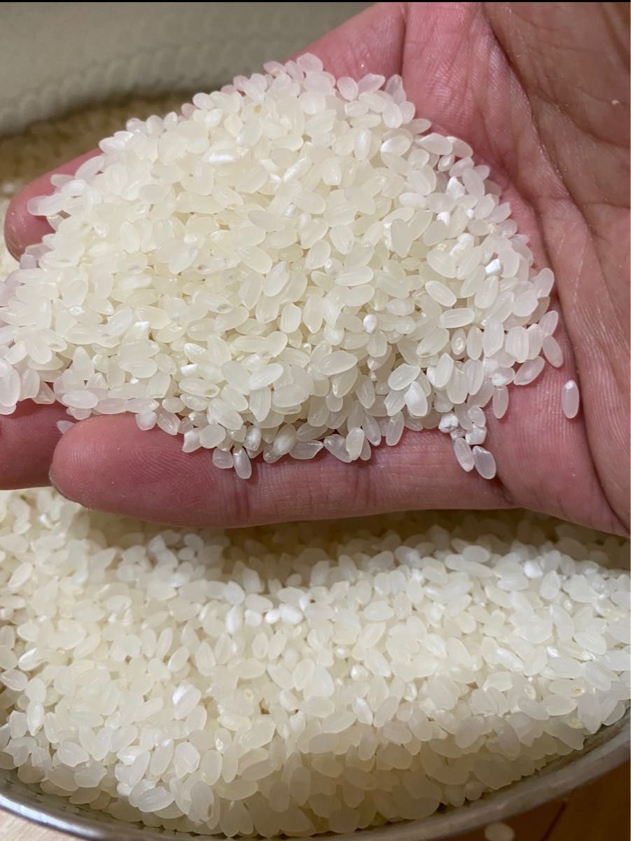 お米　令和5年度産　青森県産　最高峰ブランド米「青天の霹靂」産地直送　10キロ玄米　減農薬　米　ごはん　新米　特A米　農家　玄米