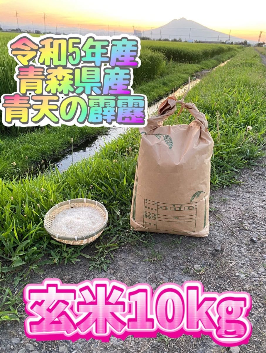 お米　令和5年度産　青森県産　最高峰ブランド米「青天の霹靂」産地直送　10キロ玄米　減農薬　米　ごはん　新米　特A米　農家　玄米