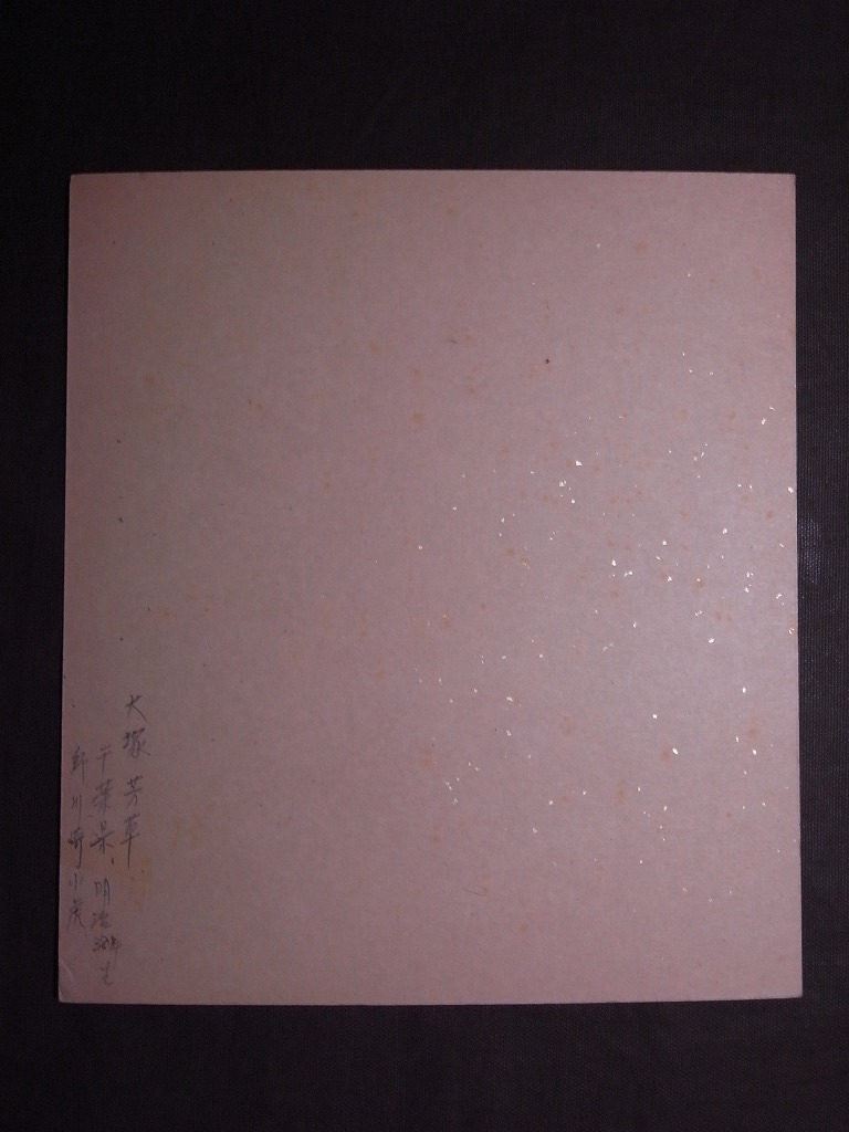  large ...[ Sakura branch ] square fancy cardboard ( paper book@ autograph genuine work )/ Kawasaki small .. under Japanese picture house 