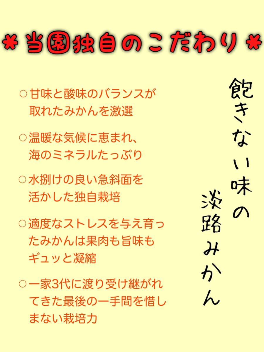 5kg　淡路島産　産地直送　プレミアム　温州みかん　早生みかん　濃厚　訳あり　小玉ちゃん　（2S以下）_画像3