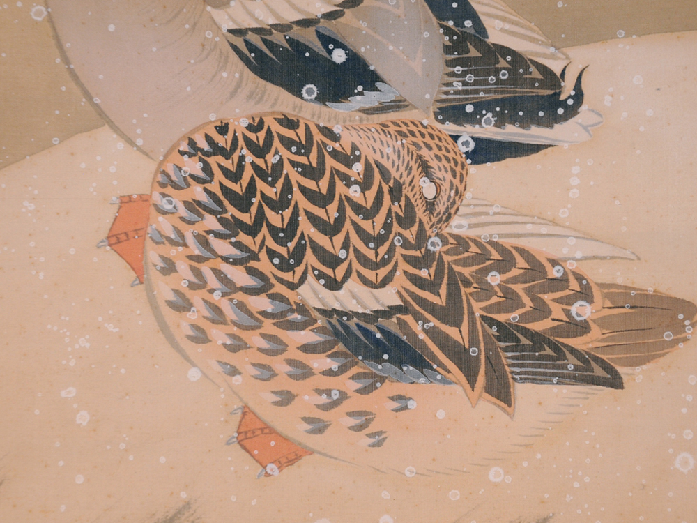 真作】猪巻清明「雪汀双鴨」軸 掛軸 絹本 時代箱 /古画 肉筆 真作】猪巻清明「雪汀双鴨」軸 掛軸 絹本 時代箱 /古画 肉筆