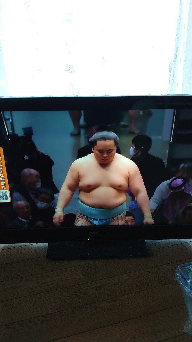 液晶テレビ　パナソニック　32型　宇都宮　引き取り