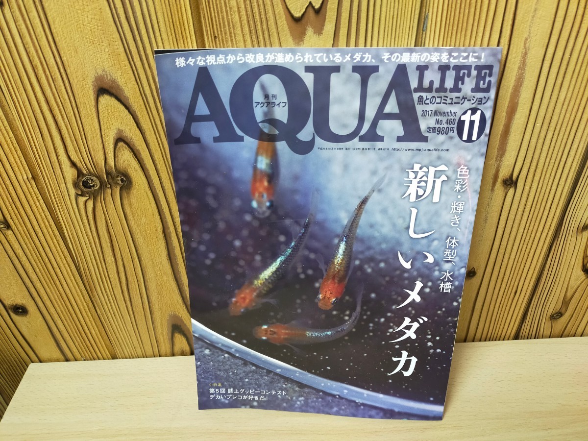 ★AQUA LIFE　月刊アクアライフ　魚とのコミニケーション　特集ディスカス　新しいメダカ　2冊★_画像3