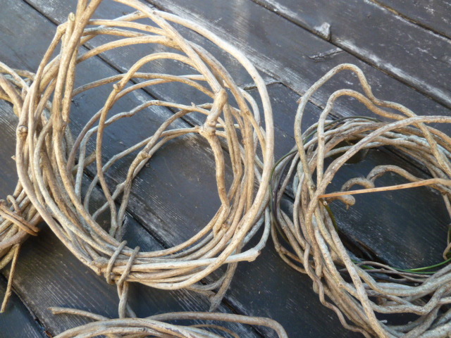 ◎リース台作り♪籠編みも　蔓　ツル　中～細くらい　ヤマカズラ　1/31採取　_画像3