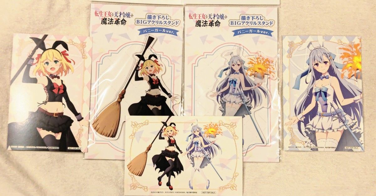 転生王女と天才令嬢の魔法革命 アニスフィア ユフィリア描き 転生王女と天才令嬢の魔法革命 アニスフィア ユフィリア描き