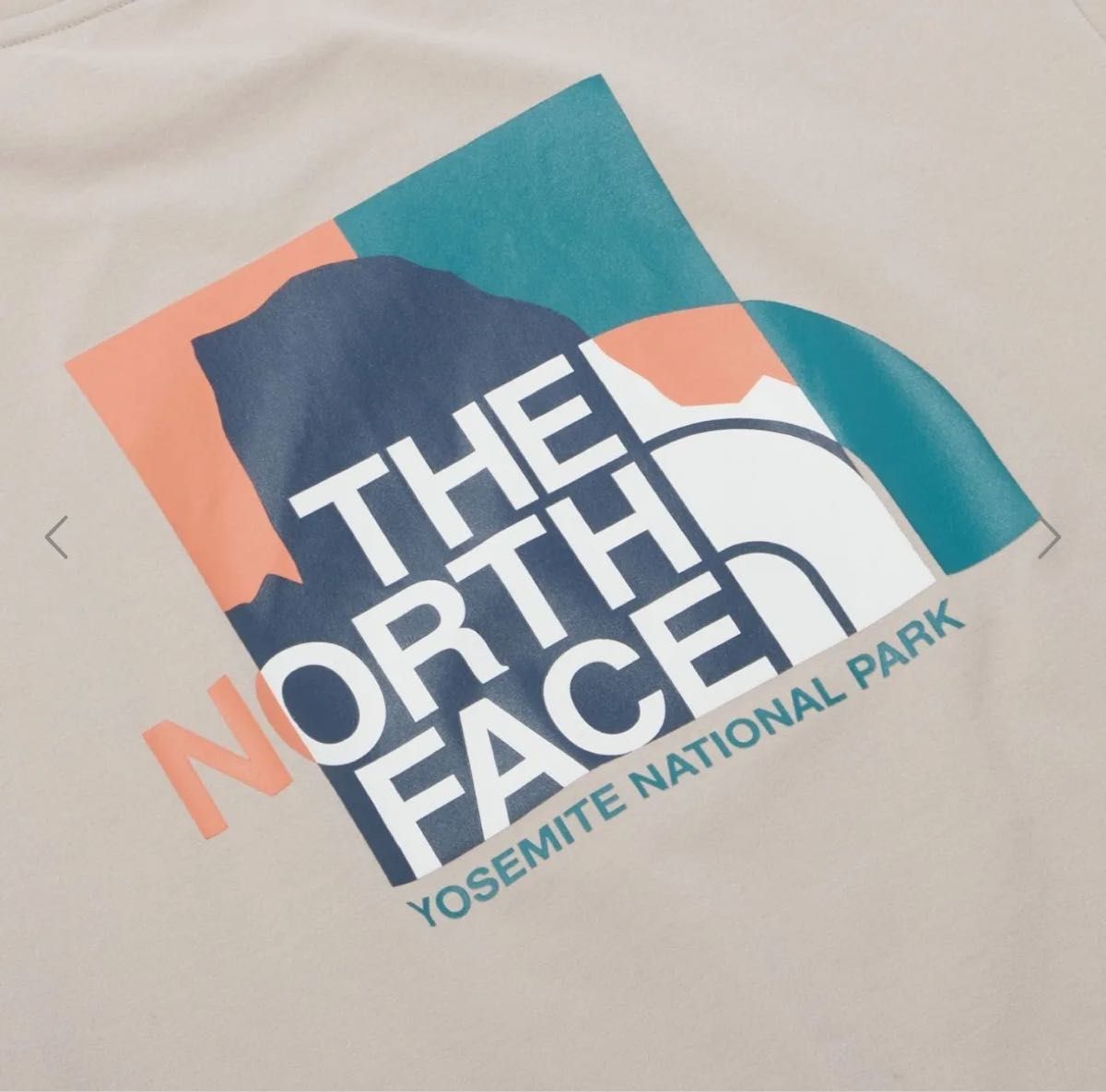 新品！ノースフェイス　バックロゴ　tシャツ　XLサイズ　THE NORTH FACE TNF NSE S/S R/TEE 105 