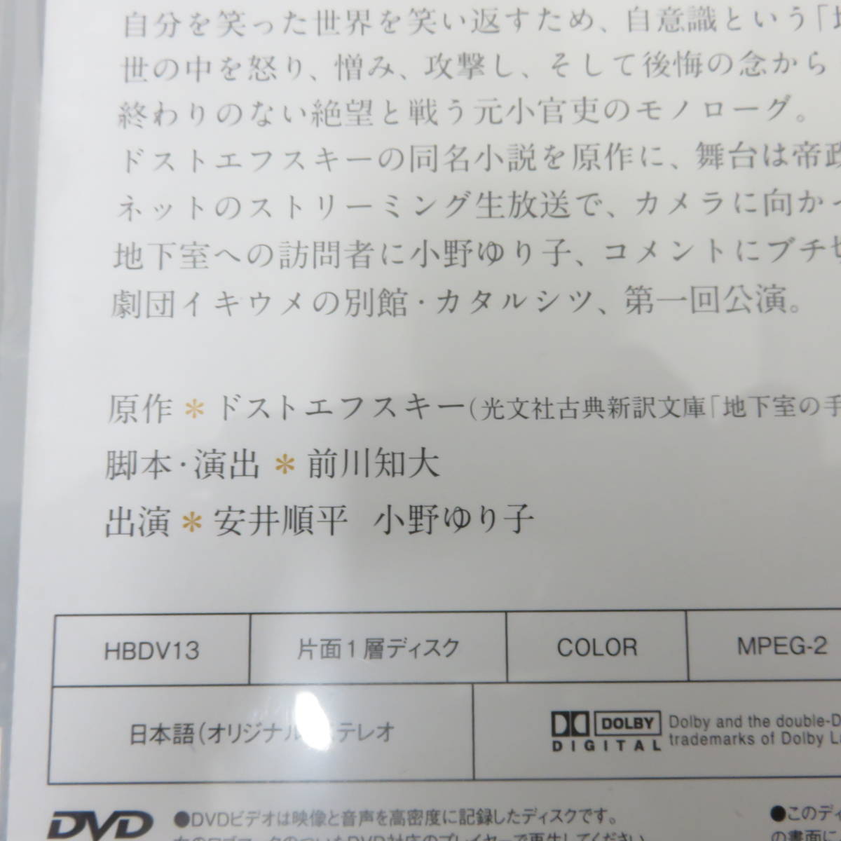 【 送料無料 】 DVD カタルシツ 地下室の手記 演出: 前川知大 出演： 安井順平 小野ゆり子 HA011409 _画像3