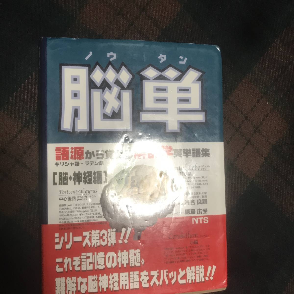 脳単(ノウタン)語源から覚える解剖学英単語集(脳・神経編)★河合良訓★NTS★ギリシャ語★ラテン語★医学書★解剖学★中古本★現状品★