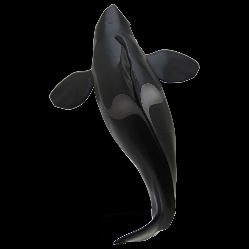 ネイチャーテクニカラー 南極 特装版 シャチ 哺乳類 動物 生物 フィギュア いきもん 新品未開封_サンプル