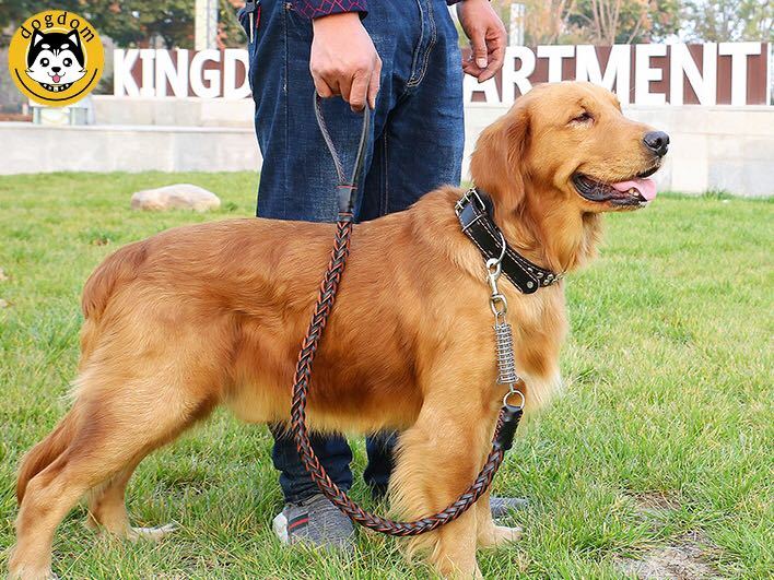 犬リード　高級本革　牛革　革リード　大型犬リード　首輪セット　カラーレッド_画像7