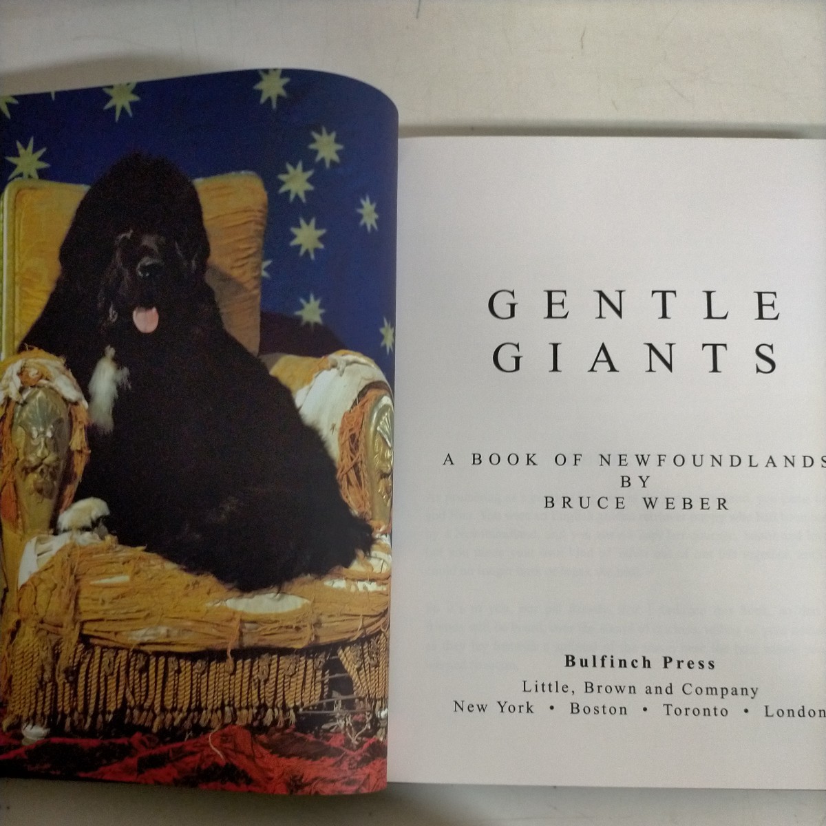 【洋書】ブルース・ウェーバー GENTLE GIANTS: A BOOK OF NEWFOUNDLANDS 1994年◇古本/軽いスレヤケ有/現状品/ノークレームノーリターン_画像10