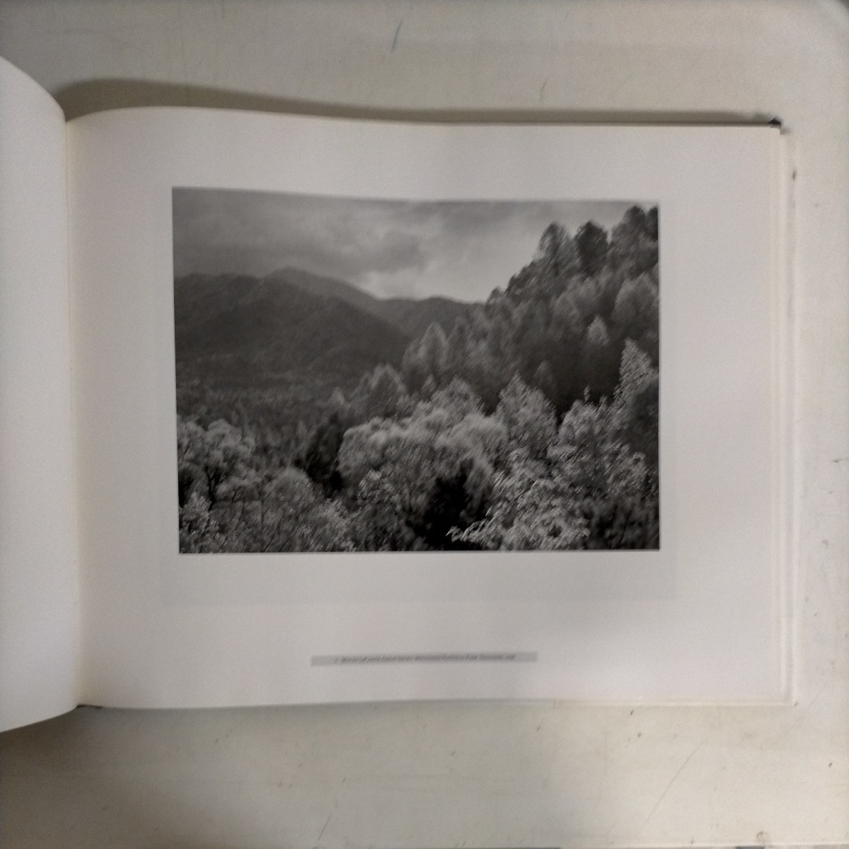 アンセル・アダムス写真集 Ansel Adams: The American Wilderness 1990年〇古本/カバースレ汚れ角傷み/地少汚れ/渓谷/国立公園/自然/写真_画像4