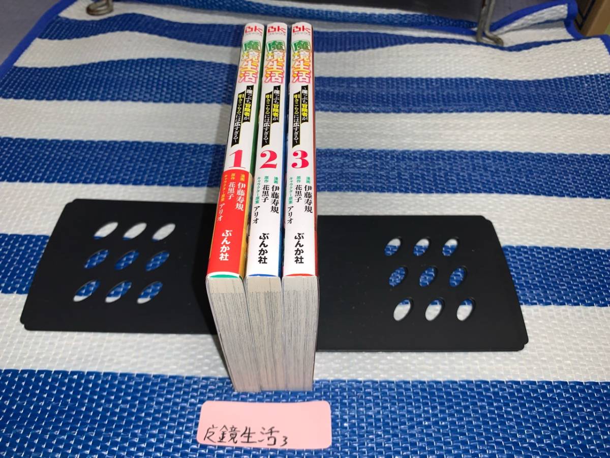 魔境生活～崖っぷち冒険者が引きこもるには広すぎる～ 全3巻_画像2