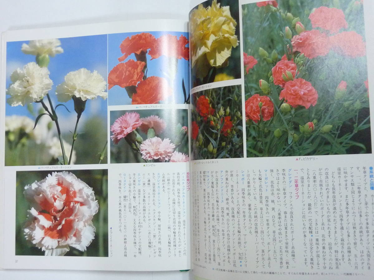 園芸の図鑑全集[ 園芸全集 フラワーオアシス Flower Oasis ]小学館 全10巻 10冊セット 1.早春の草花-10.野菜・果樹 送料無料_画像8