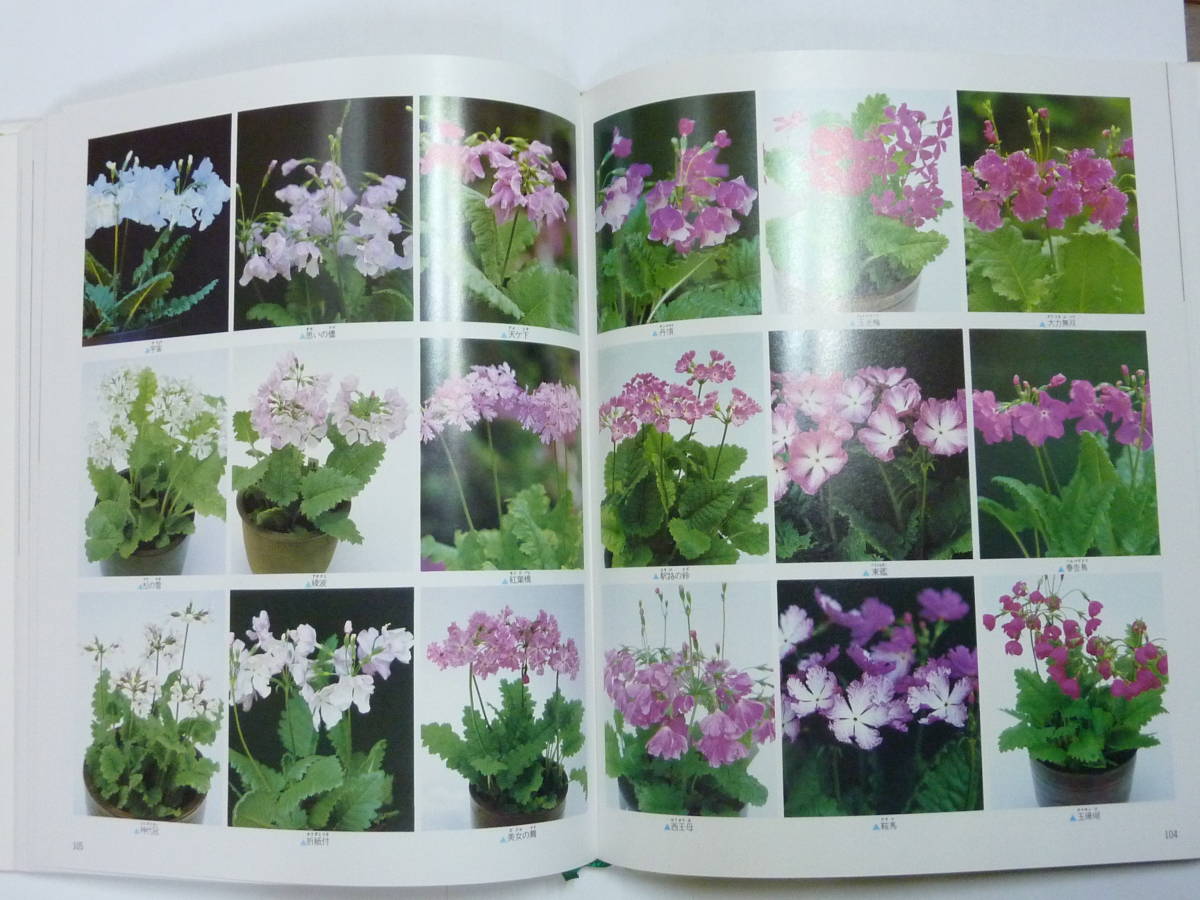 item_image_10