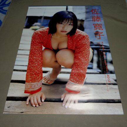 ♪即決♪送料無料♪佐藤寛子 2005年のカレンダー B2サイズ 7枚綴り 新品未使用保存品。