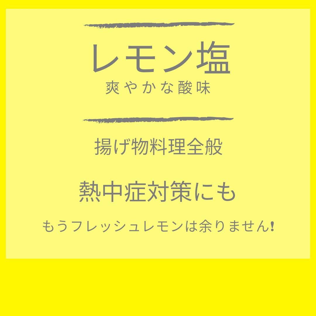 レモン塩 持ち運び便利なミニボトル 30㌘ 1本_画像3