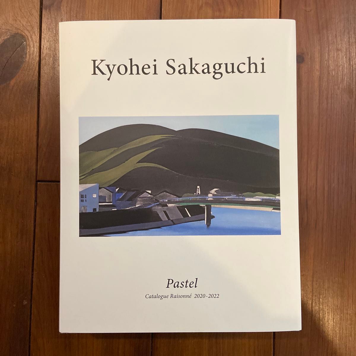 坂口恭平　カタログ・レゾネ（世界限定500冊）