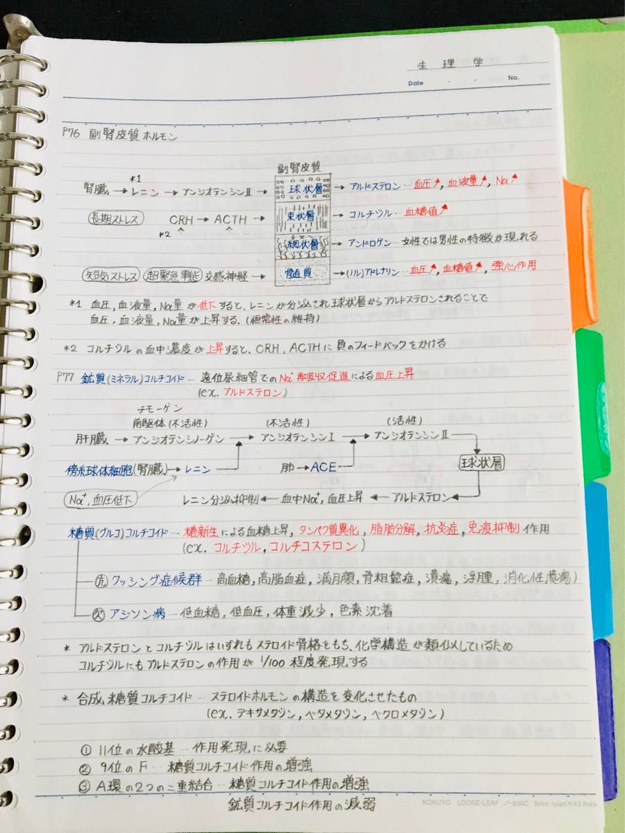 医療系学部学科定期試験、国家試験対策シリーズ【解剖学・生理学】まとめノートセット