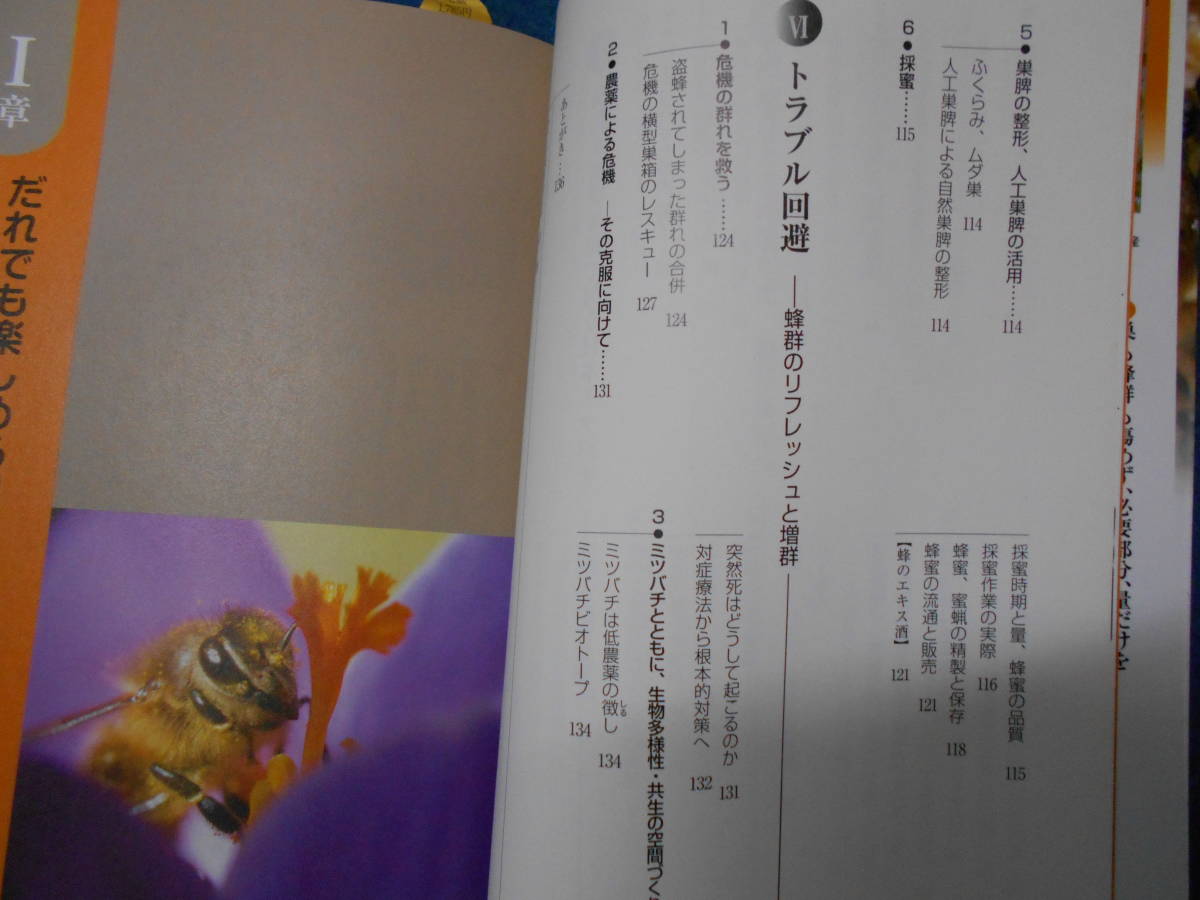 即決　2010年初版『だれでも飼える日本ミツバチ』昆虫学、養蜂　Social Incect　 Wasps Beesニホンミツバチ　生態　分布　分類　飼育法_画像5