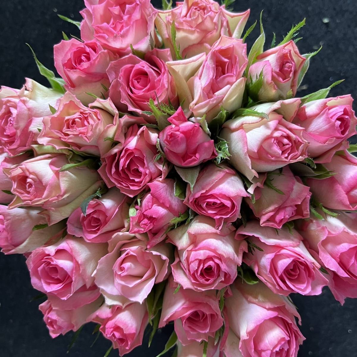  раздельно （... цветы    *  ... цветы  ） главный  любовь ...（ розовый  градация ）　30㎝SM размер  　40 шт.  　 место производства  прямая доставка  ！... степень отличный  ！　...