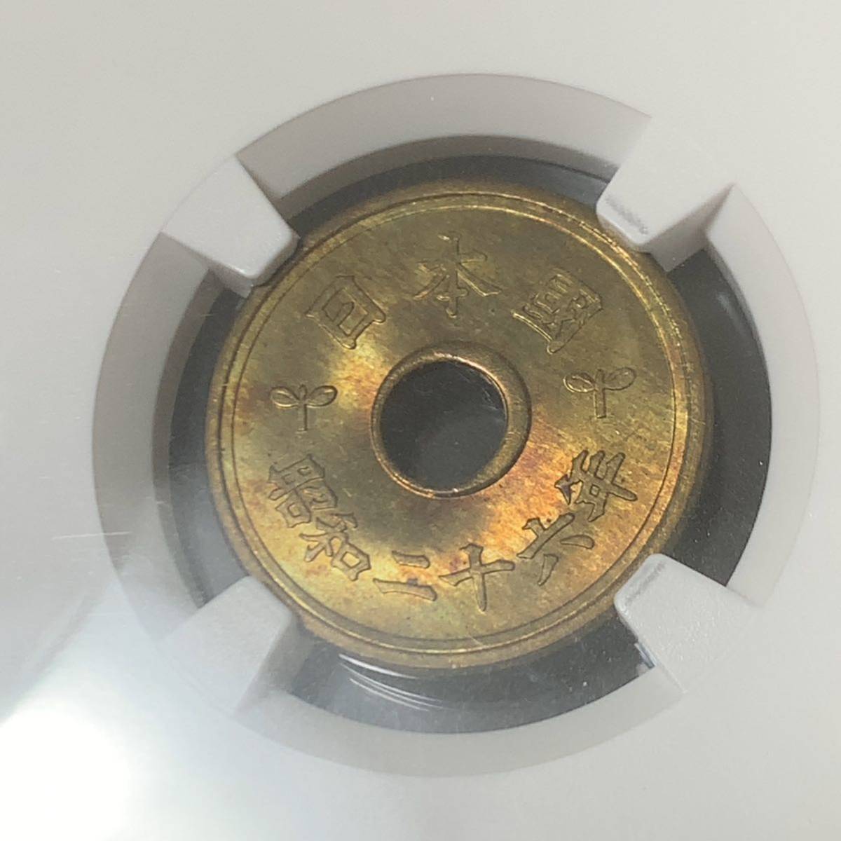 a81 昭和26年　5円黄銅貨　NGC MS64 穴ズレ小_画像4