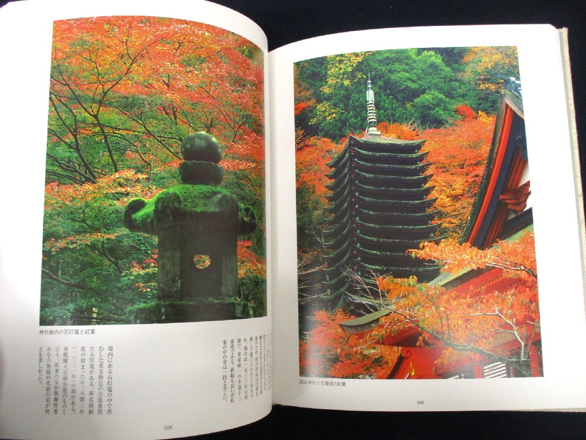 ◇C3576 書籍「大和路写し歩き」玉河晋次 1999年 函付 写真集 風景 自然 寺社仏閣 花_画像7