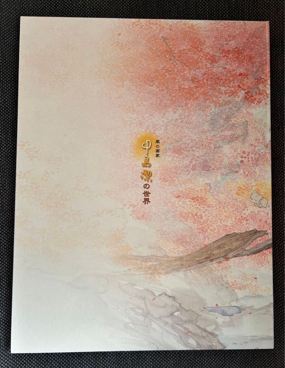2冊セット 風の画家 中島潔の世界& やすらぎの詩　朝日新聞　額絵シリーズ