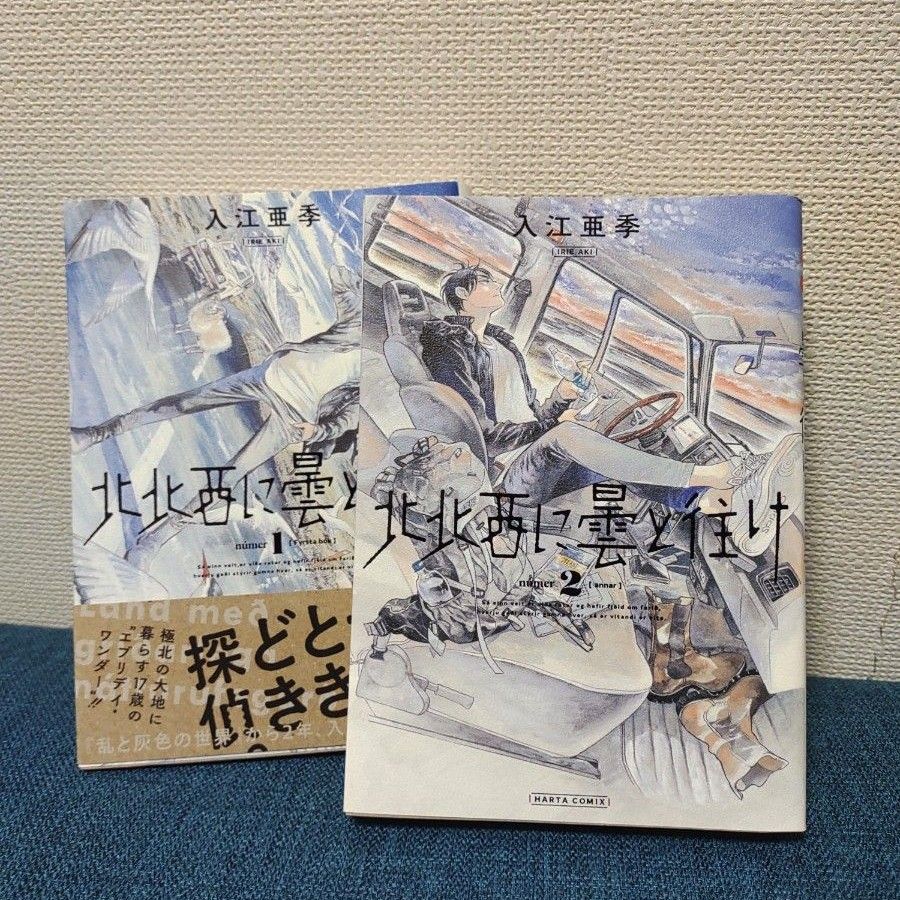 北北西に曇と往け /入江 亜季:2冊セット