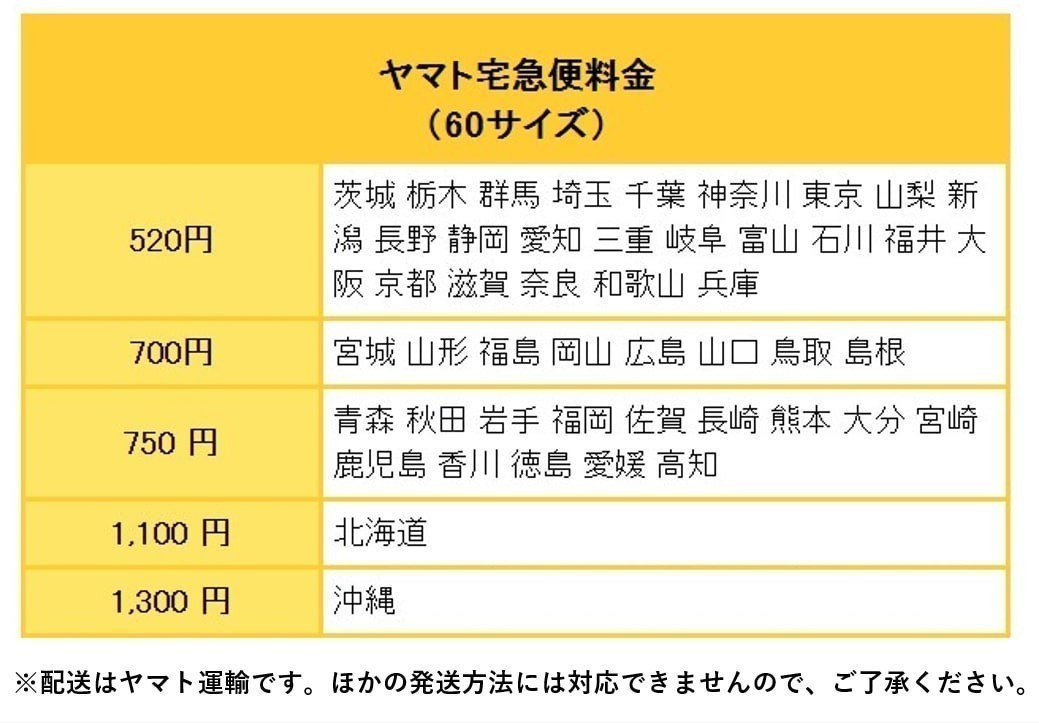 657009「第14回 日本国際美術展」日本国際美術振興会 毎日新聞社 1982年_画像4