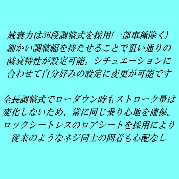 RSR Best-i 推奨レート仕様 車高調整キット PV36スカイライン 2006/11～2014/4_画像3