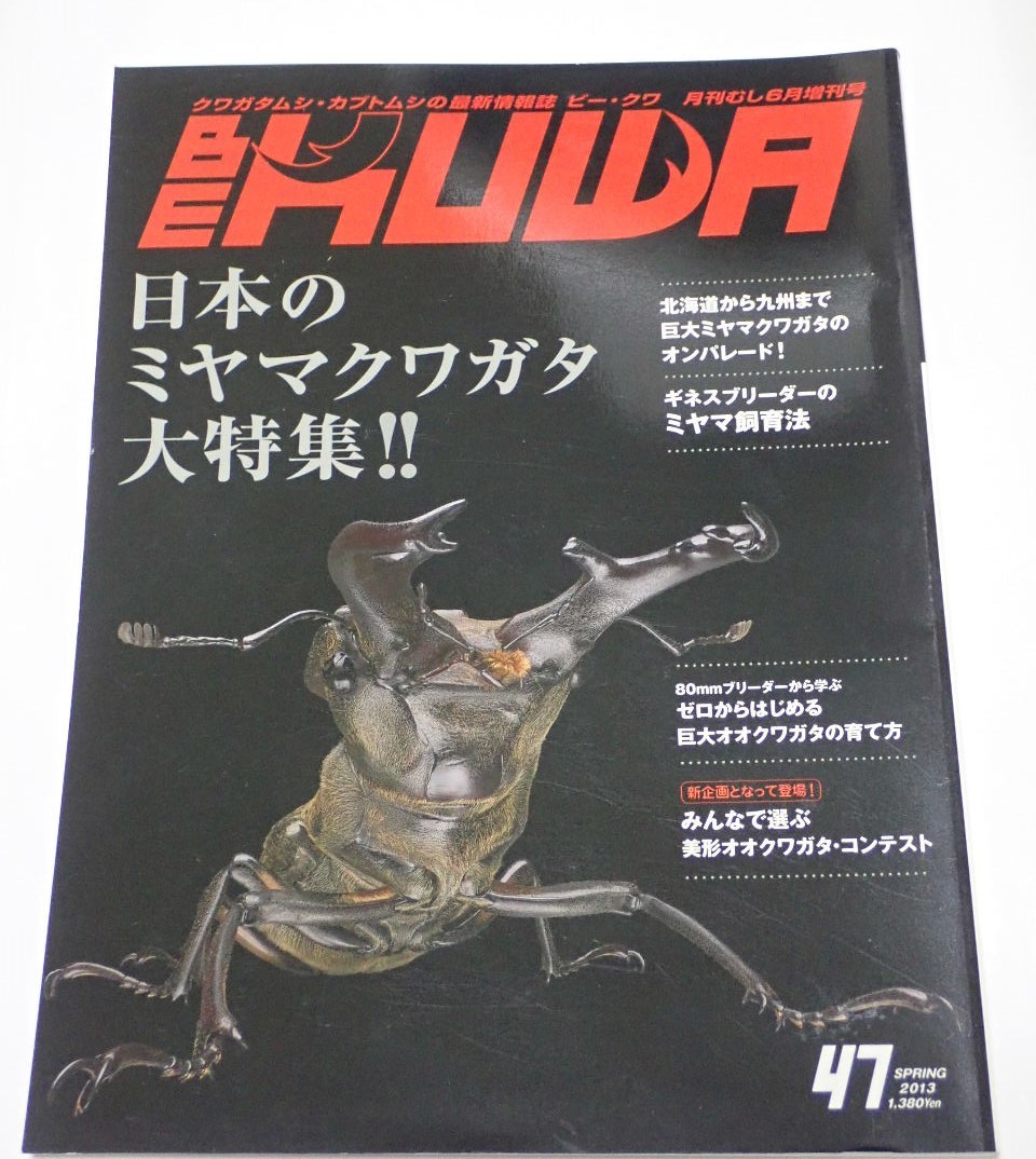 Yahoo!オークション - BE KUWA ビークワ No.47□日本のミヤマクワガタ Yahoo!オークション - BE KUWA ビークワ No.47□日本のミヤマクワガタ