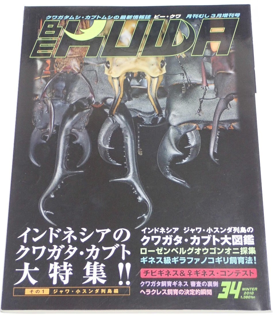 ビークワ No.34■インドネシアのクワガタ・カブト大特集｜ジャワ・小スンダ列島のカブクワ大図鑑／ギネスギラファ飼育／ローゼンベルグ採集_画像1