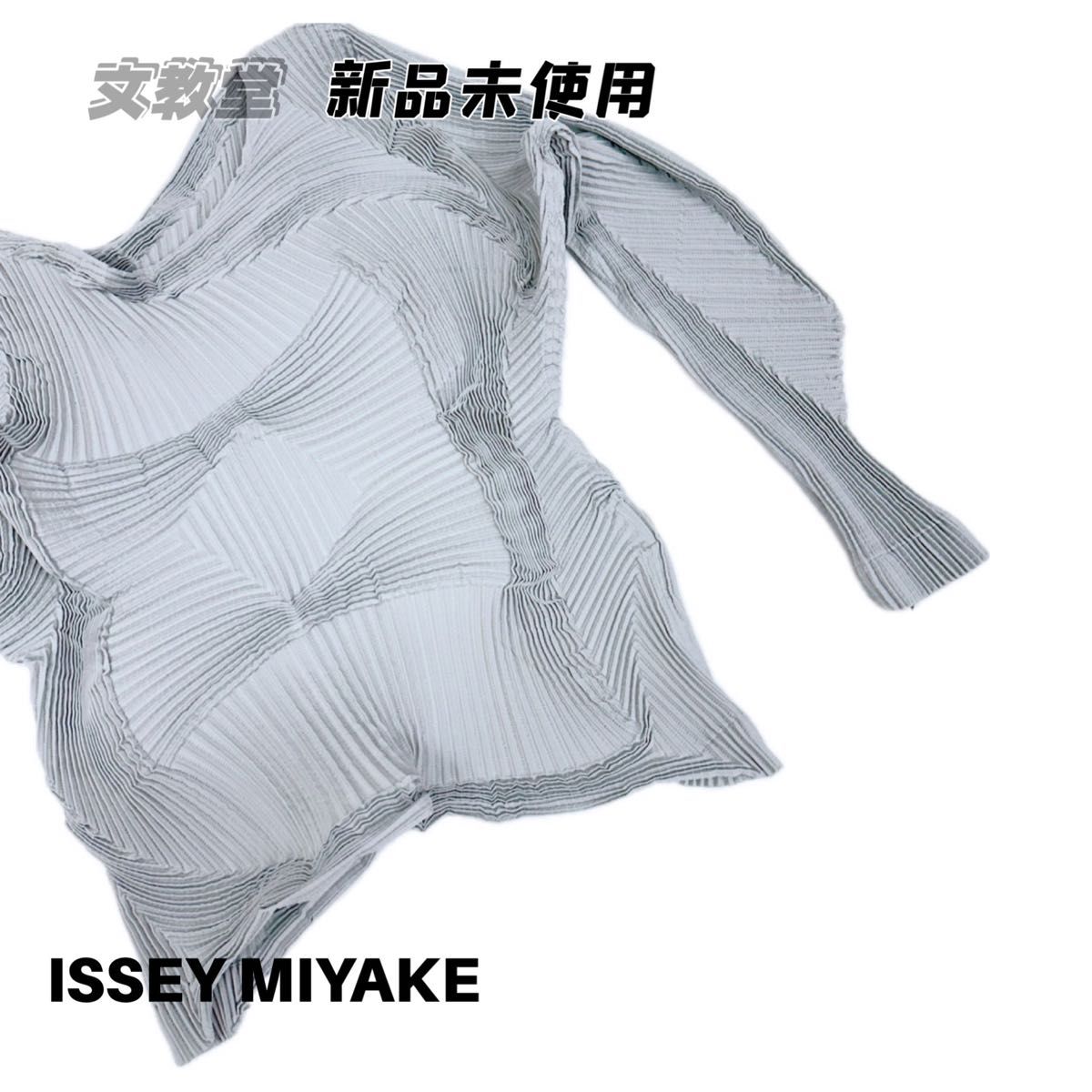 イッセイミヤケ　A-POC ABLE ISSEY MIYAKE TYPE-O 003-2