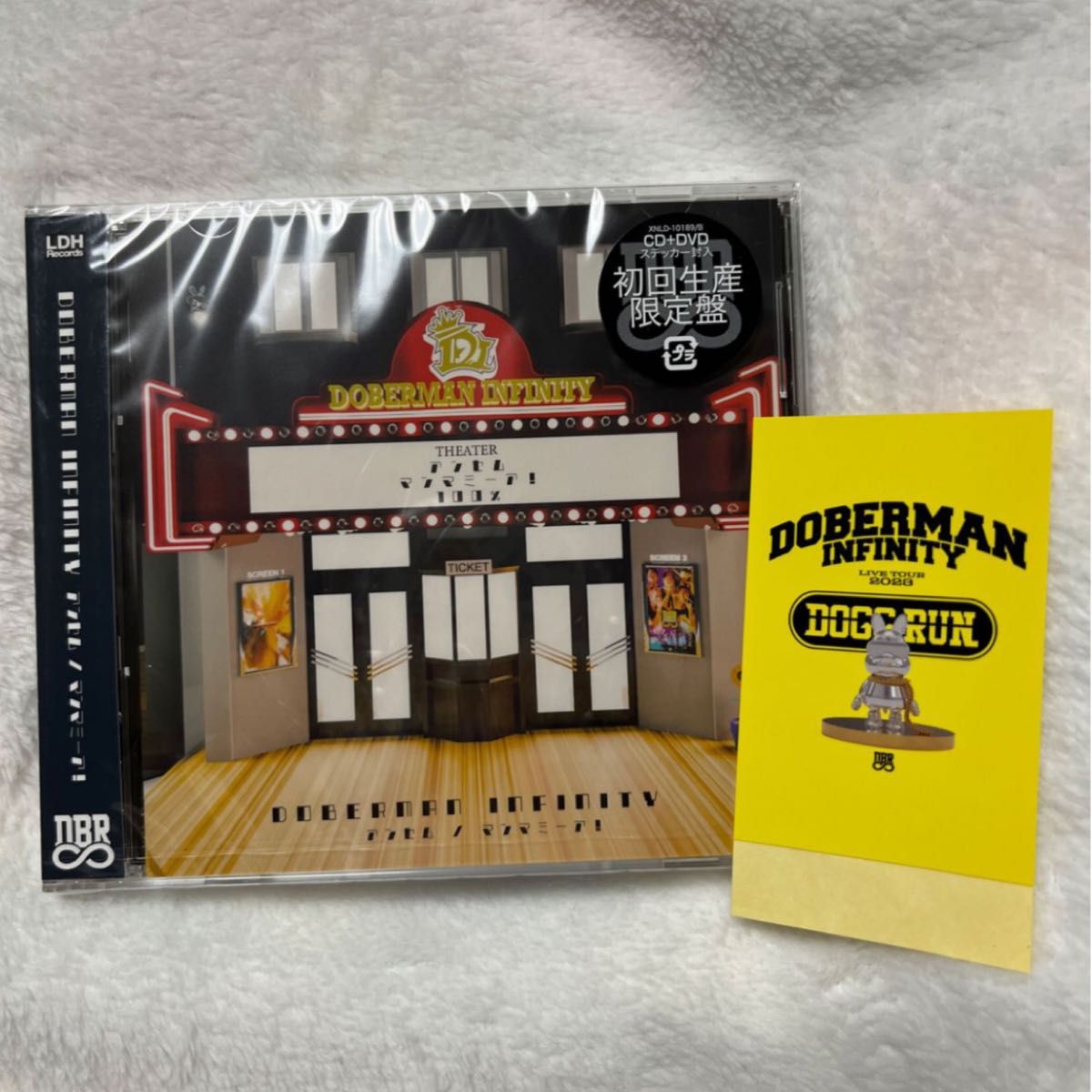 初回生産限定盤 (取) DVD付 DOBERMAN INFINITY CD+DVD/アンセム 